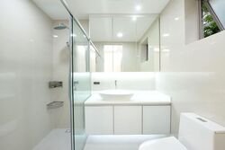 Nassim Jade (D10), Condominium #539696911